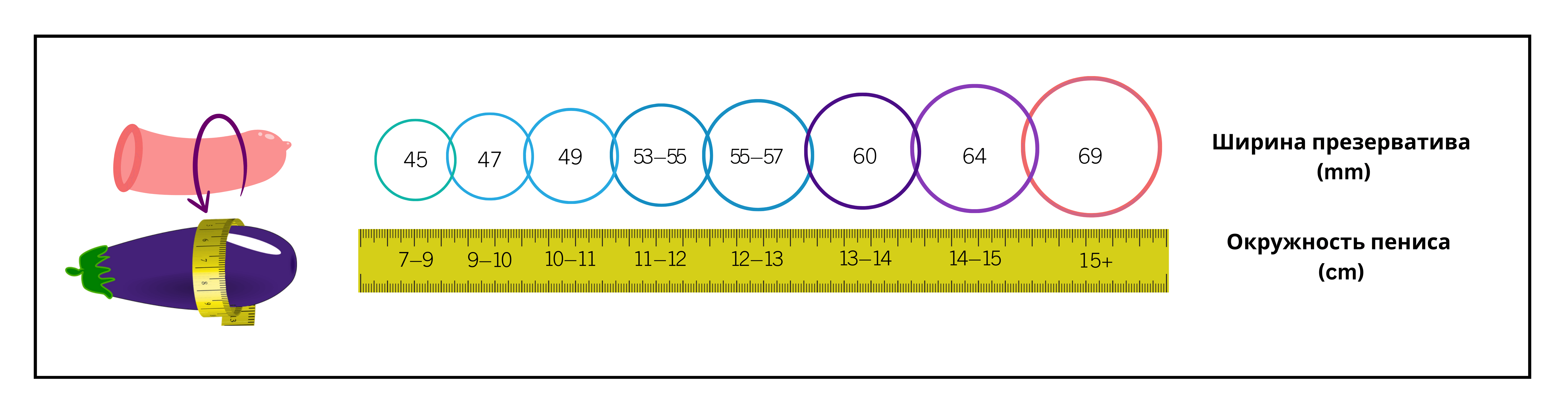 Инфографика, отображающая различные размеры презервативов и соответствующие измерения